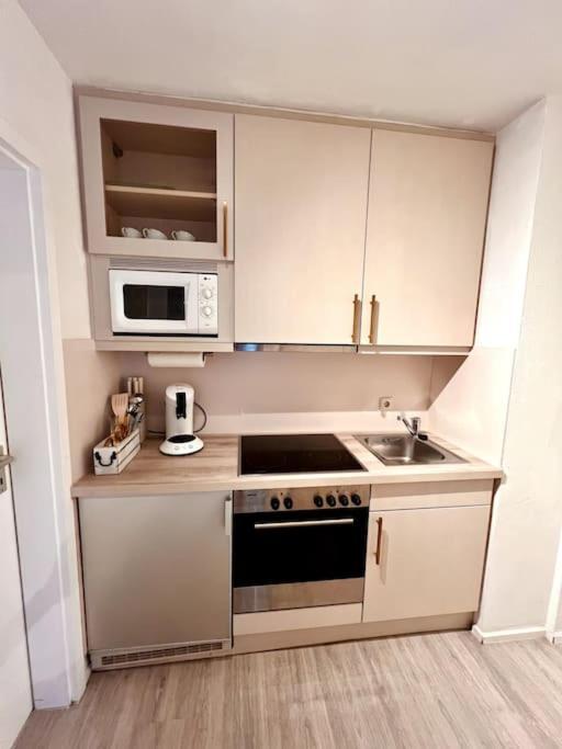 Stylish Studio Apartment With Beautiful Balcony Ingolstadt Esterno foto